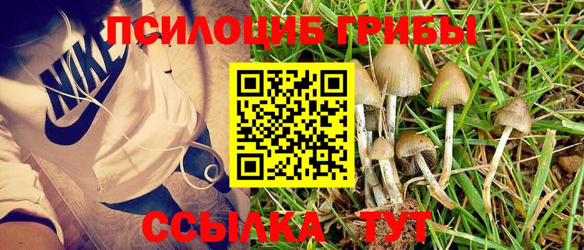 Галлюциногенные грибы Magic Shrooms Феодосия