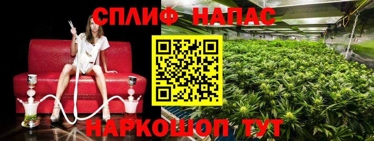 Псилоцибиновые грибы Феодосия